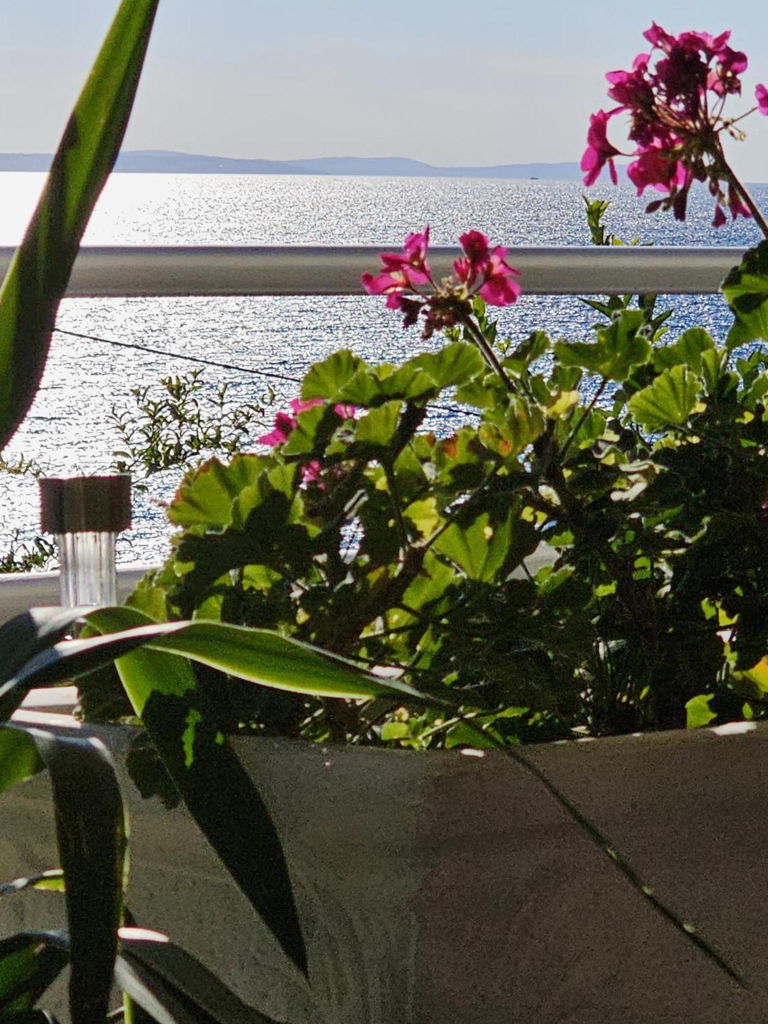 Beach Apartments Mika لوكفا روجوزنيكا المظهر الخارجي الصورة
