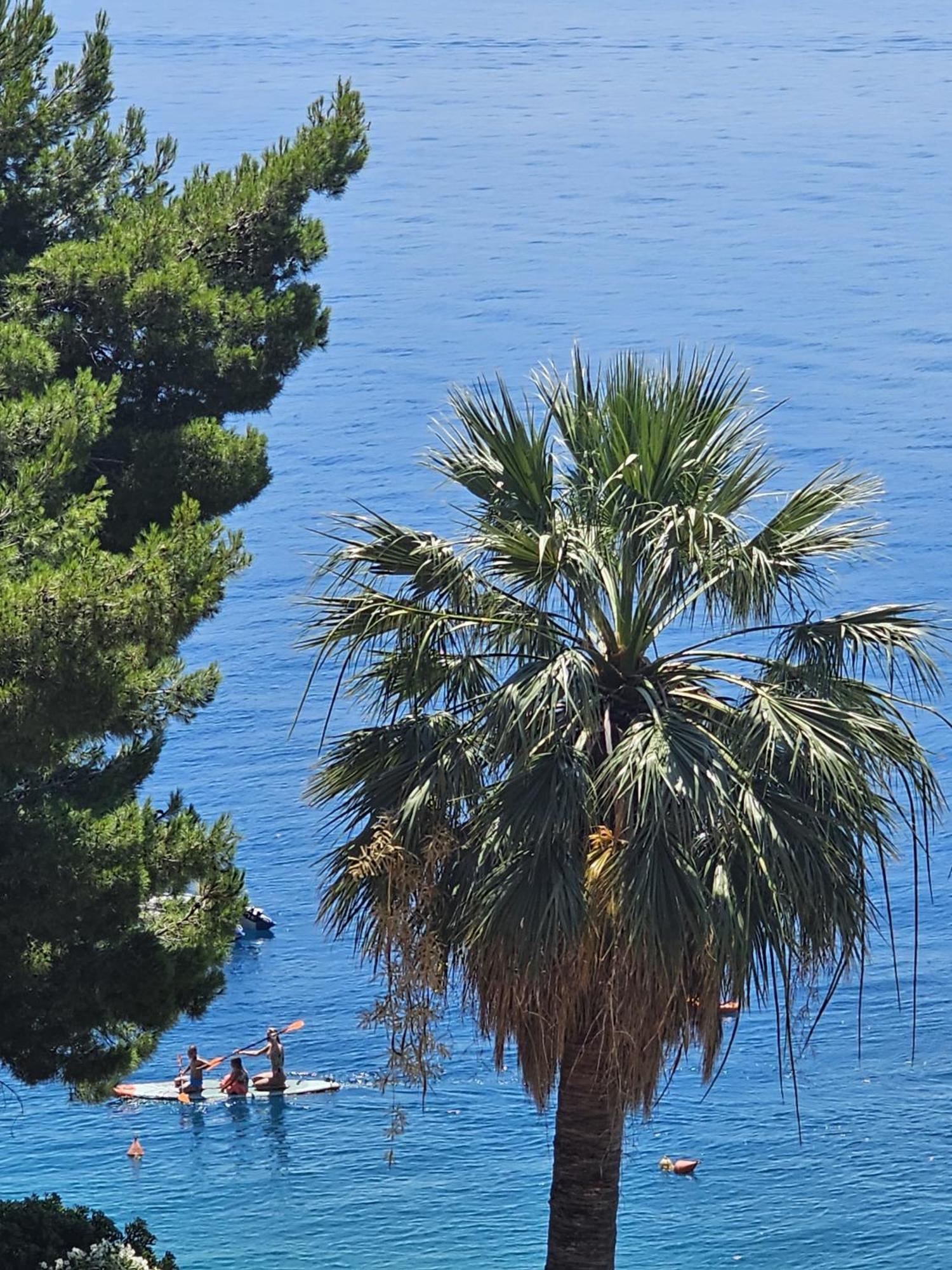 Beach Apartments Mika لوكفا روجوزنيكا المظهر الخارجي الصورة